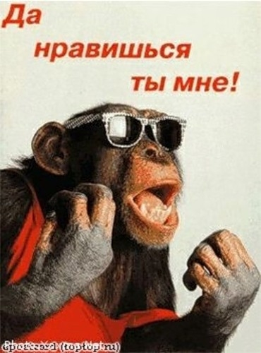 0_43297_13ed4ebf_l