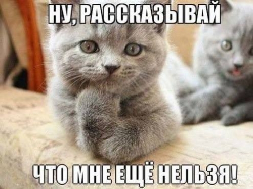 1517418_650759338316171_533355472_n