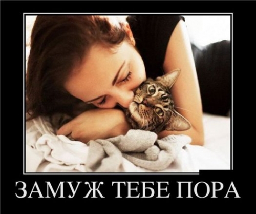 bfee05b3cf5ed86b28aa0be326841a0e_868
